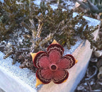Persian Carpet Succulent Live Plant | Rare Flowering Succulent | 3.5-Inch Collector Plant