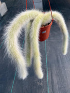Hairy Monkey Tail Cactus  | Fuzzy White Live Cactus #724